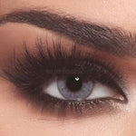 Bella One Day Bluish Gray