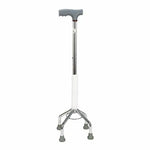 Walking Stick With 4 Legs FS946