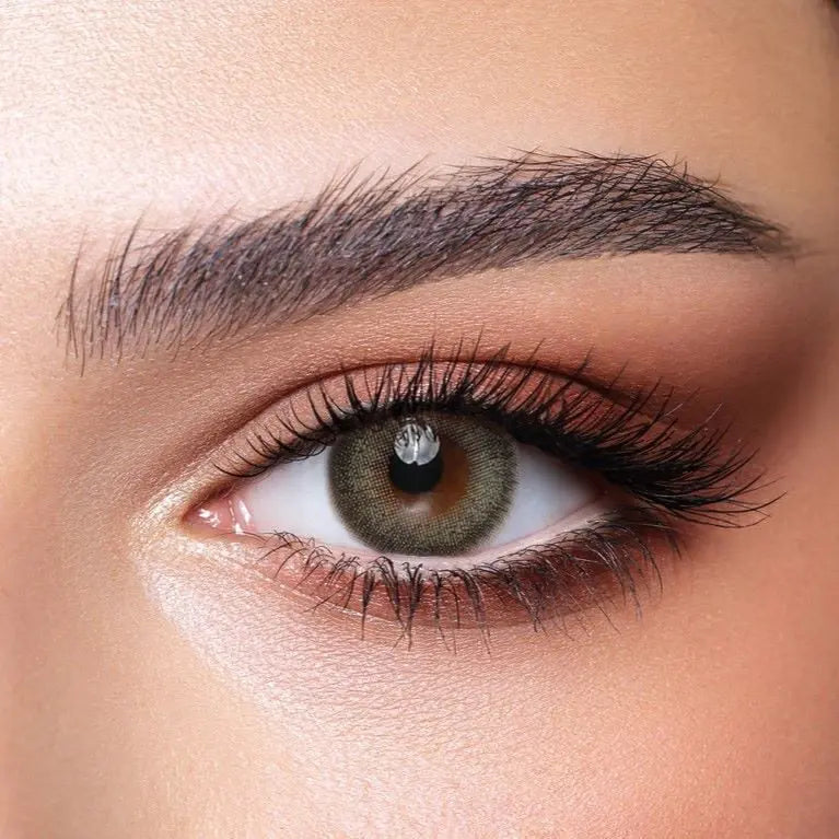 Bella One Day lenses Pine
