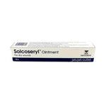 Solcoseryl Ointment 20G