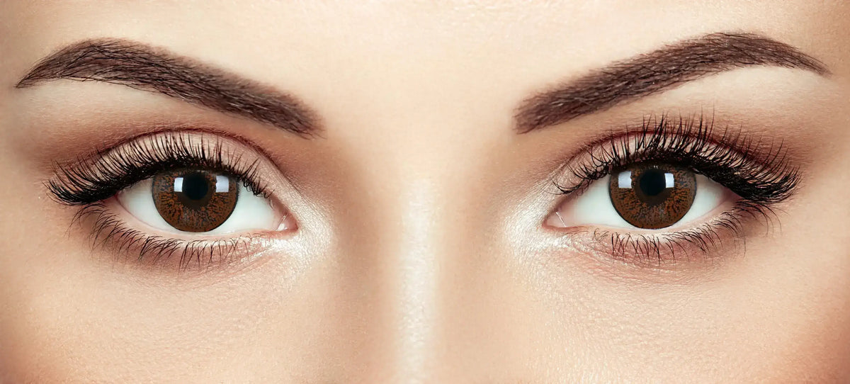 Phantasee Coloured Contact Lenses Angel Hazel (Monthly Disposable ...