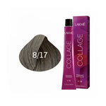 Lakme Collage 8/17 60Ml-28171