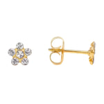 Studex GP Daisy Apr Crystal TT-6004